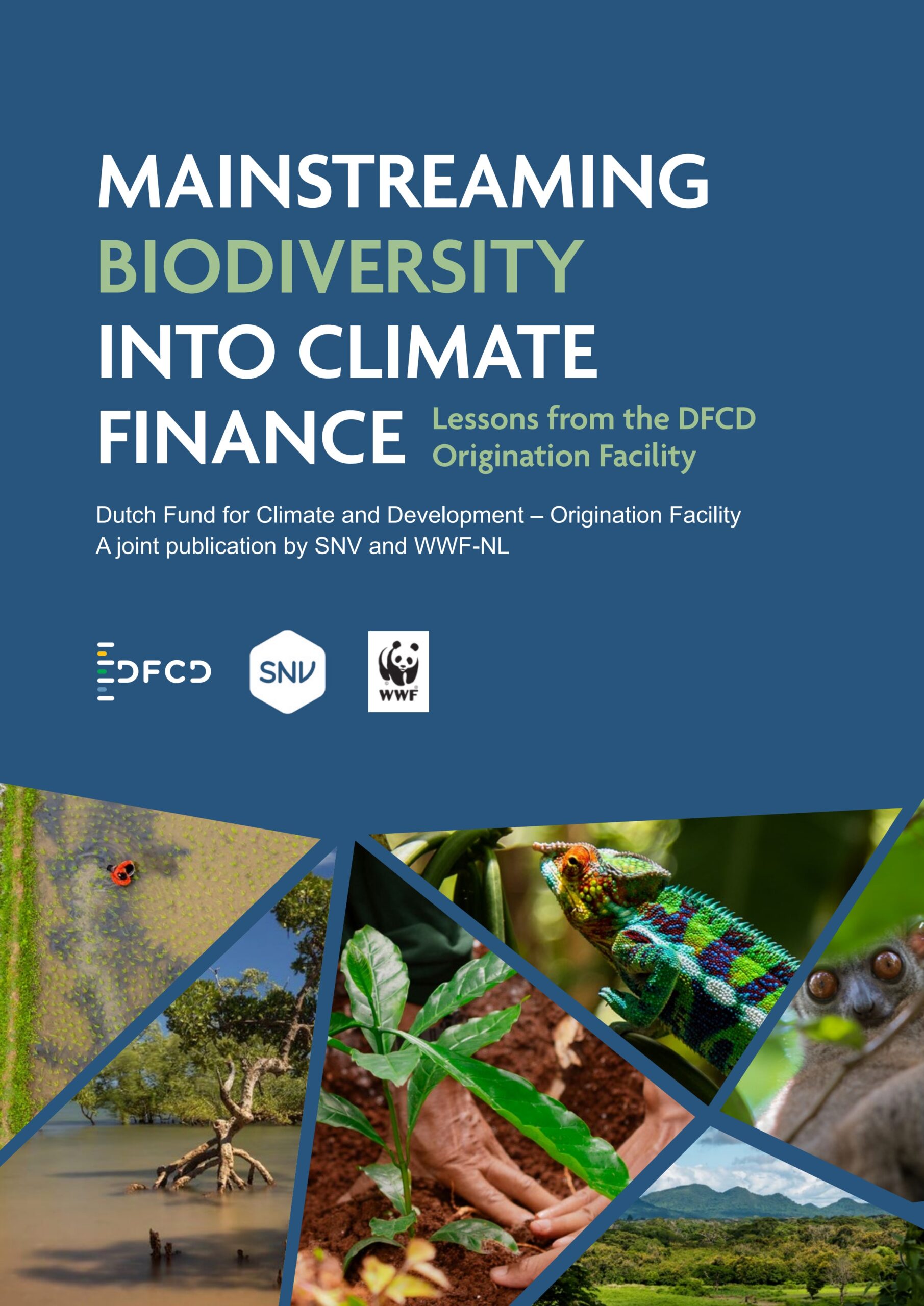 Mainstreaming biodiversity into climate finance: Lessons from the DFCD Origination Facility