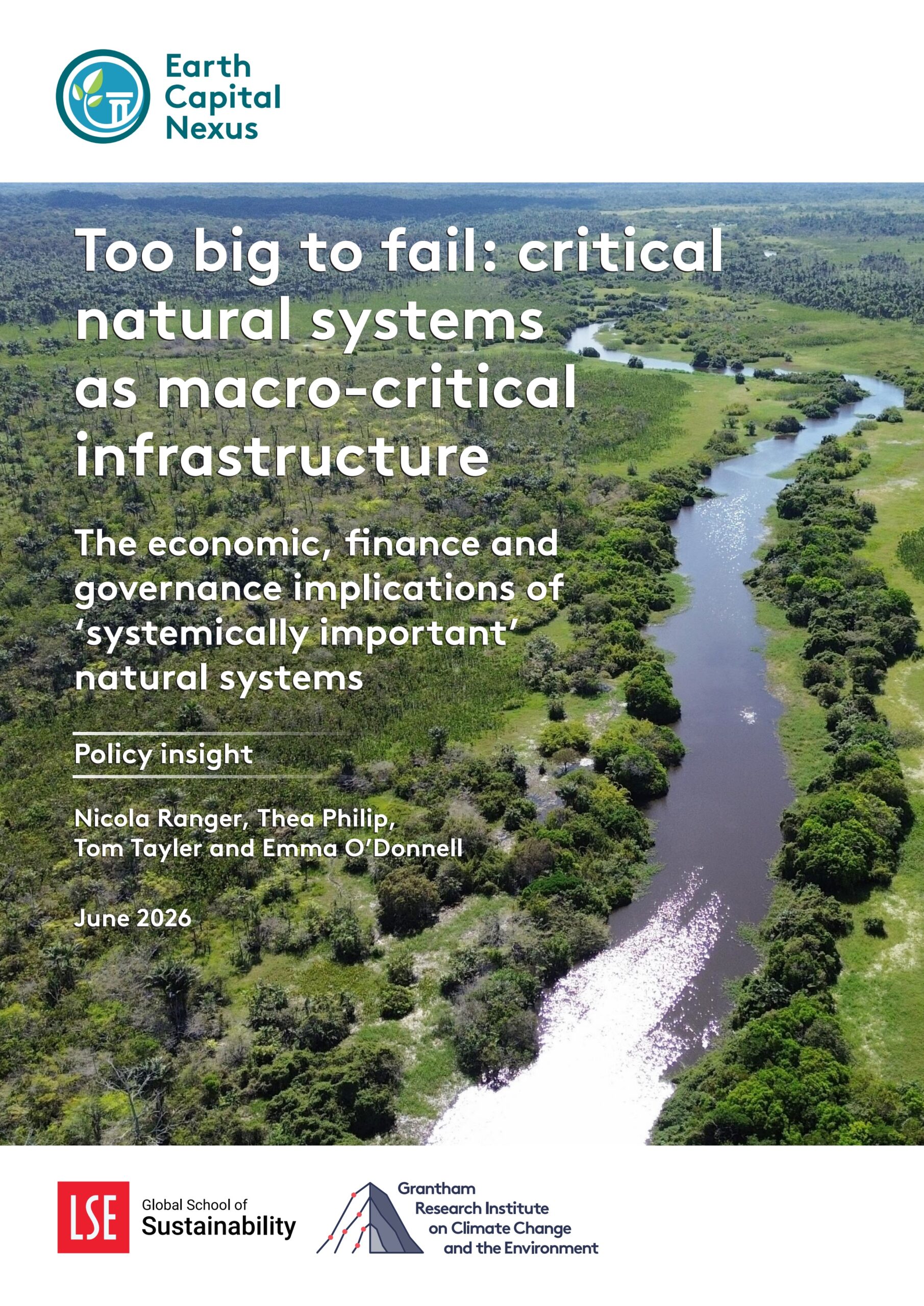 Too big to fail: critical natural systems as macro-critical infrastructure