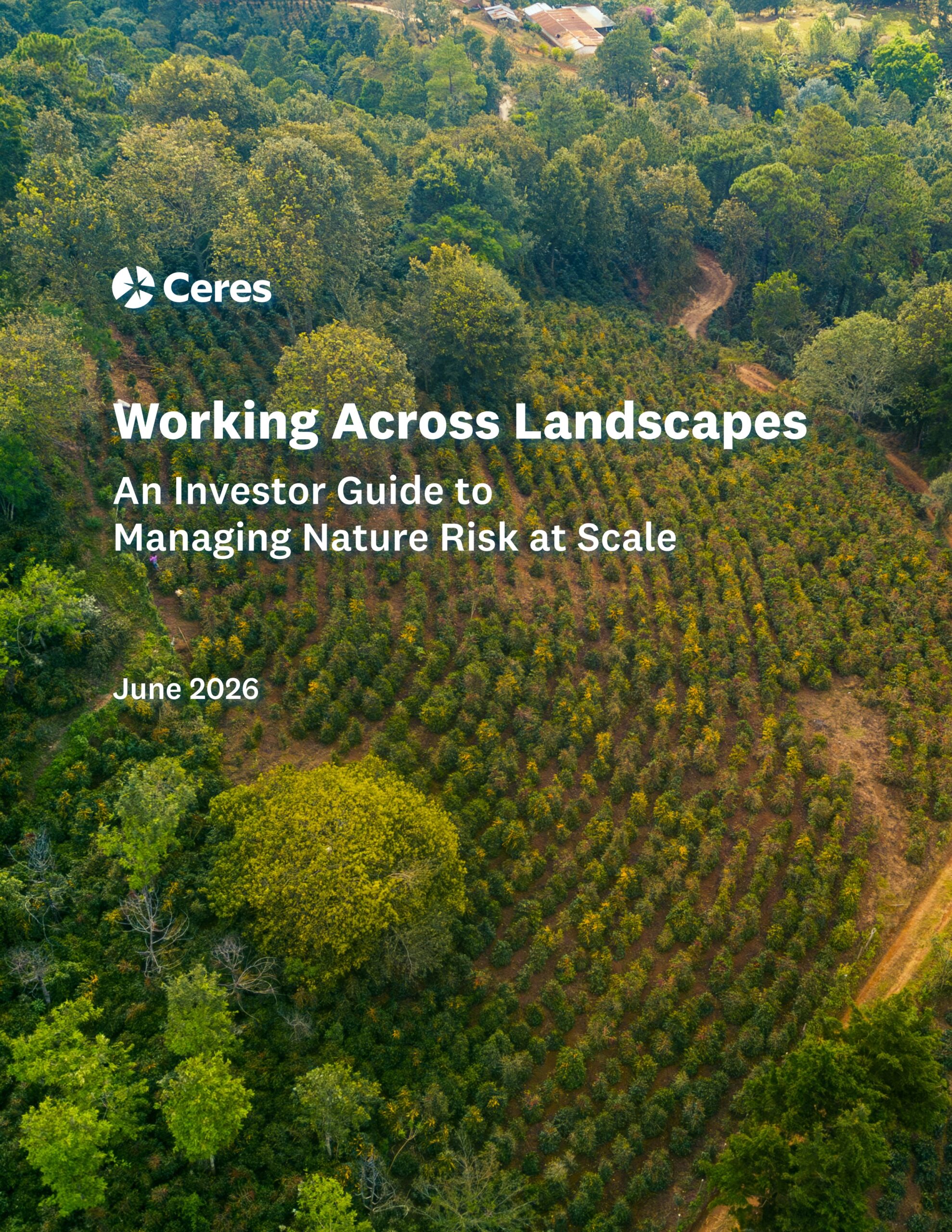 Working across landscapes: An investor guide to managing nature risk at scale