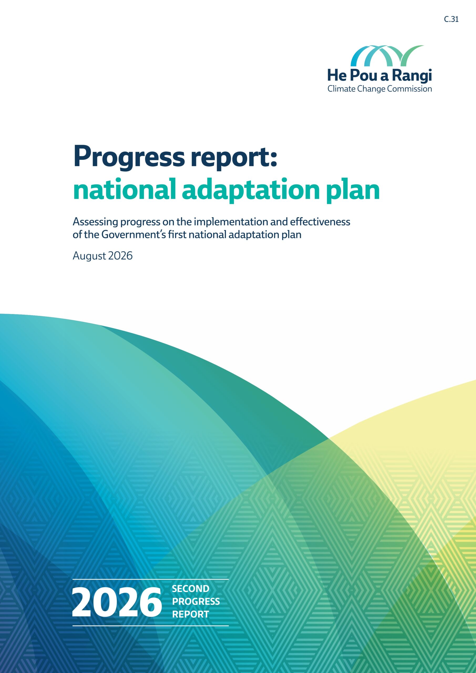 Progress report: national adaptation plan