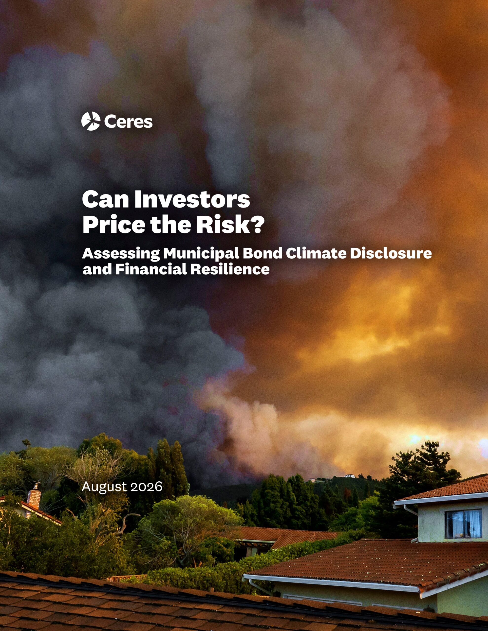 Can investors price the risk? Assessing municipal bond climate disclosure and financial resilience