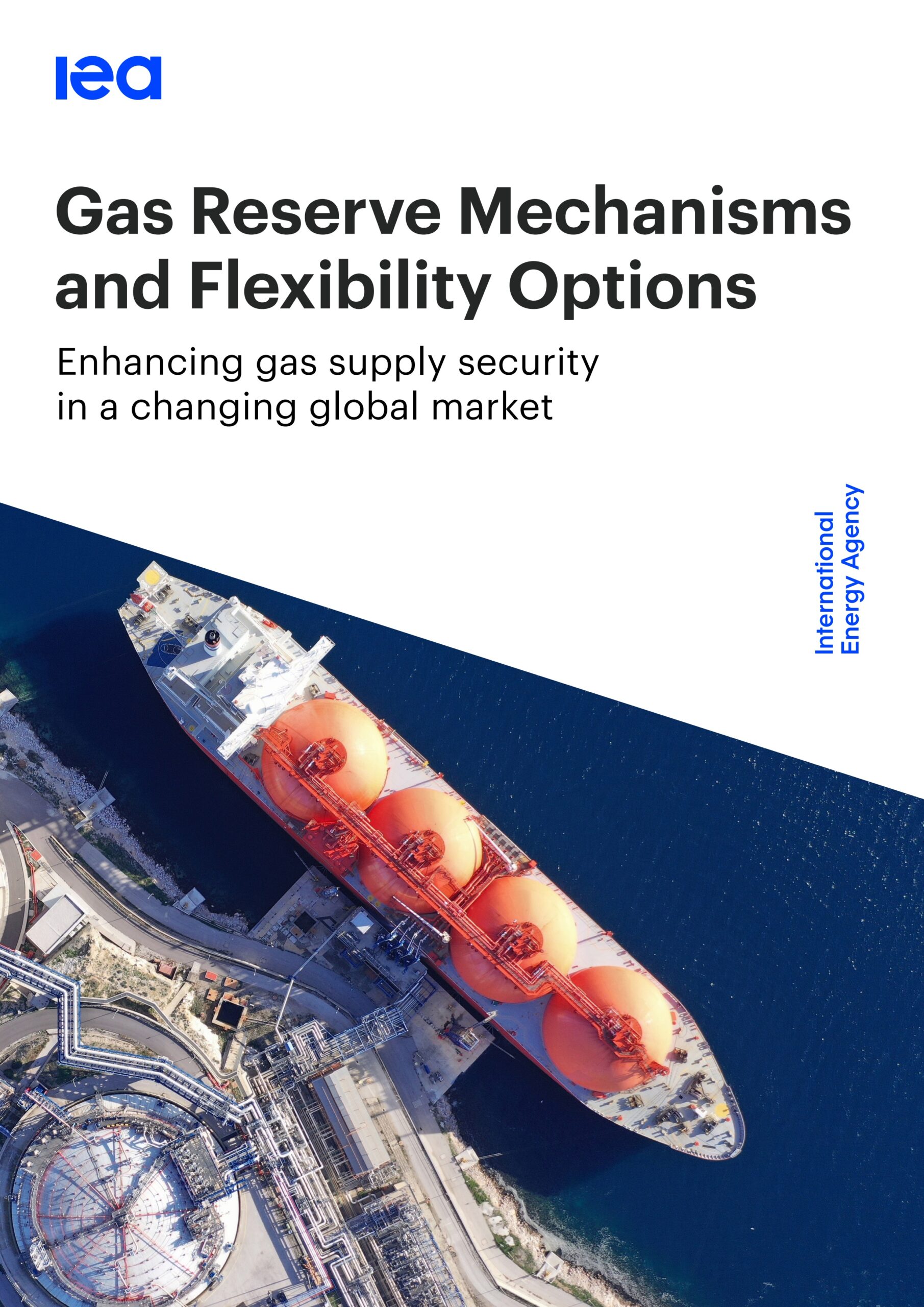 Gas reserve mechanisms and flexibility options: Enhancing gas supply security in a changing global market