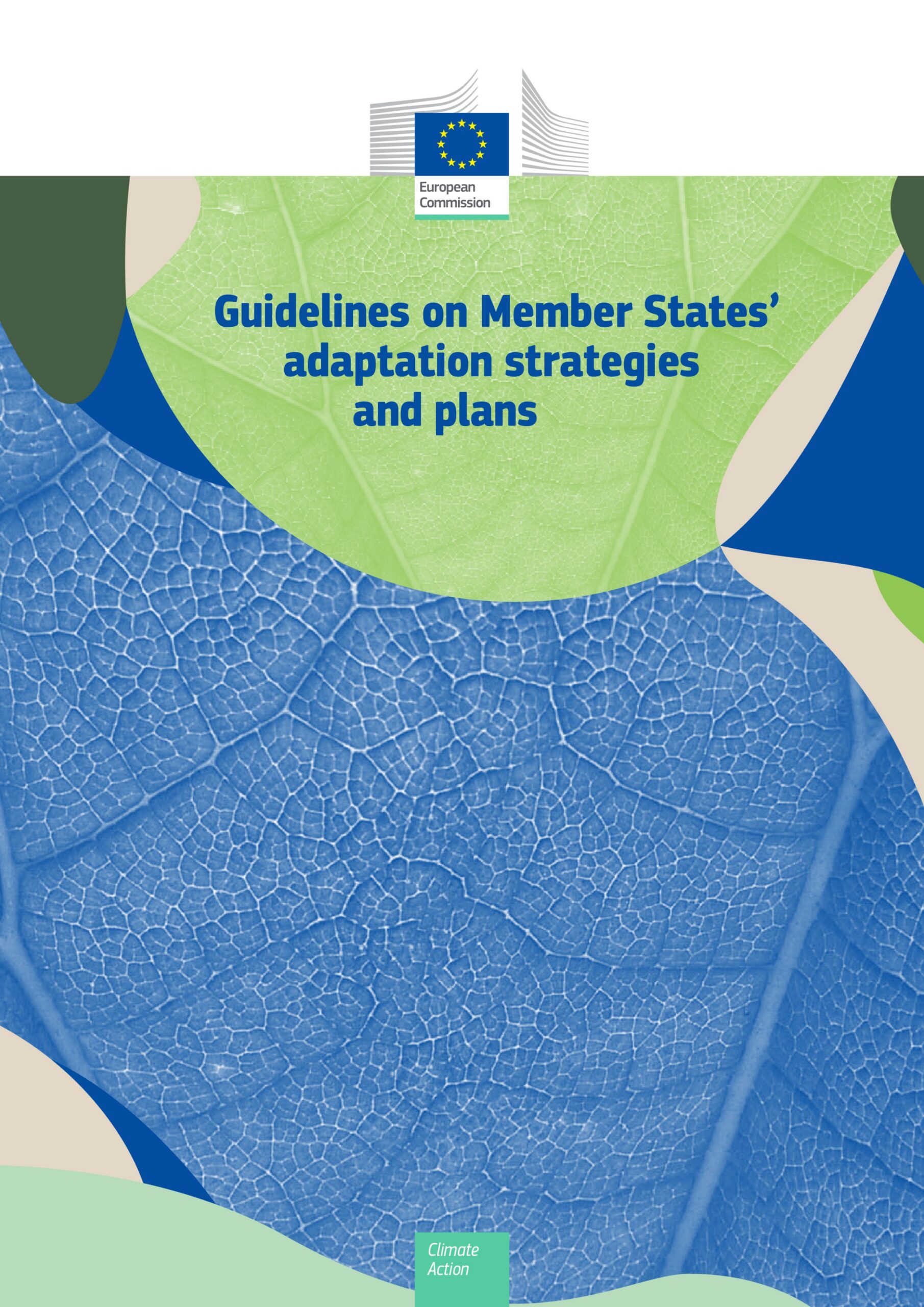 Guidelines on Member States' adaptation strategies and plans