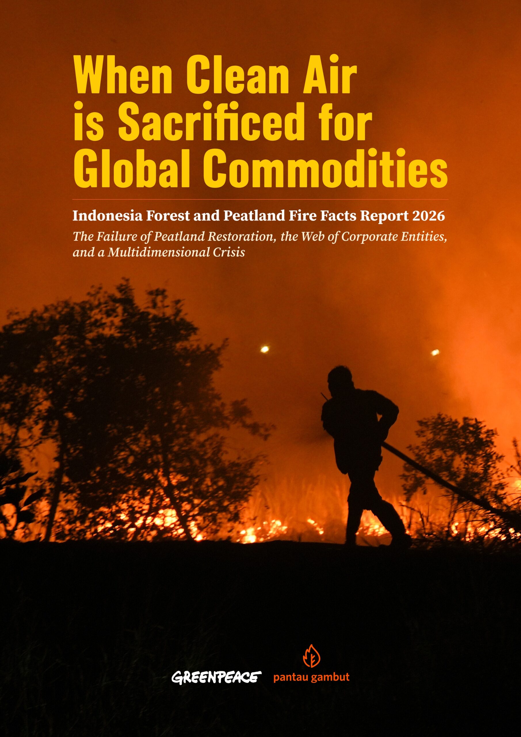 When clean air is sacrificed for global commodities: Indonesia forest and peatland fire facts report 2026