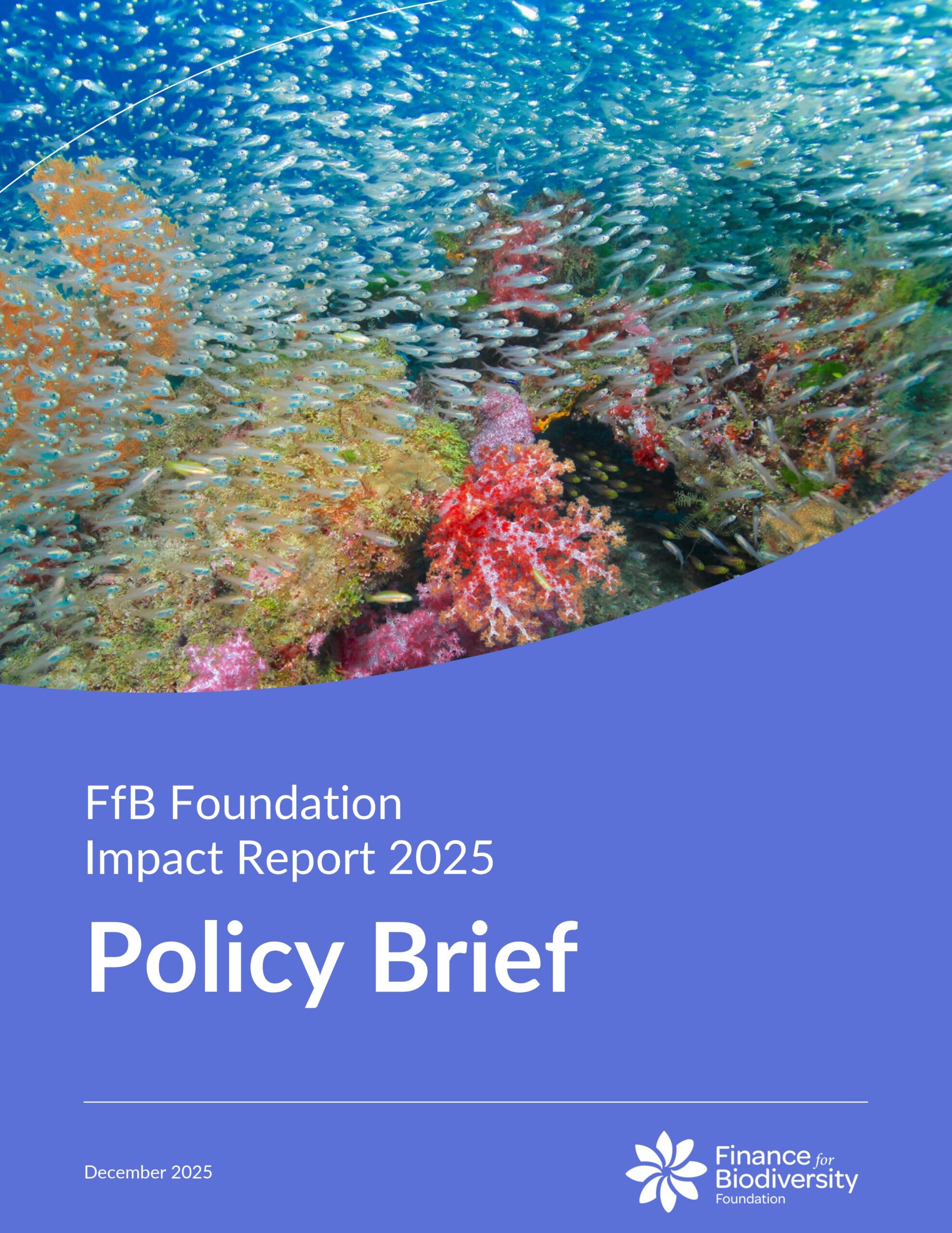 FfB Foundation impact report 2025: Policy brief
