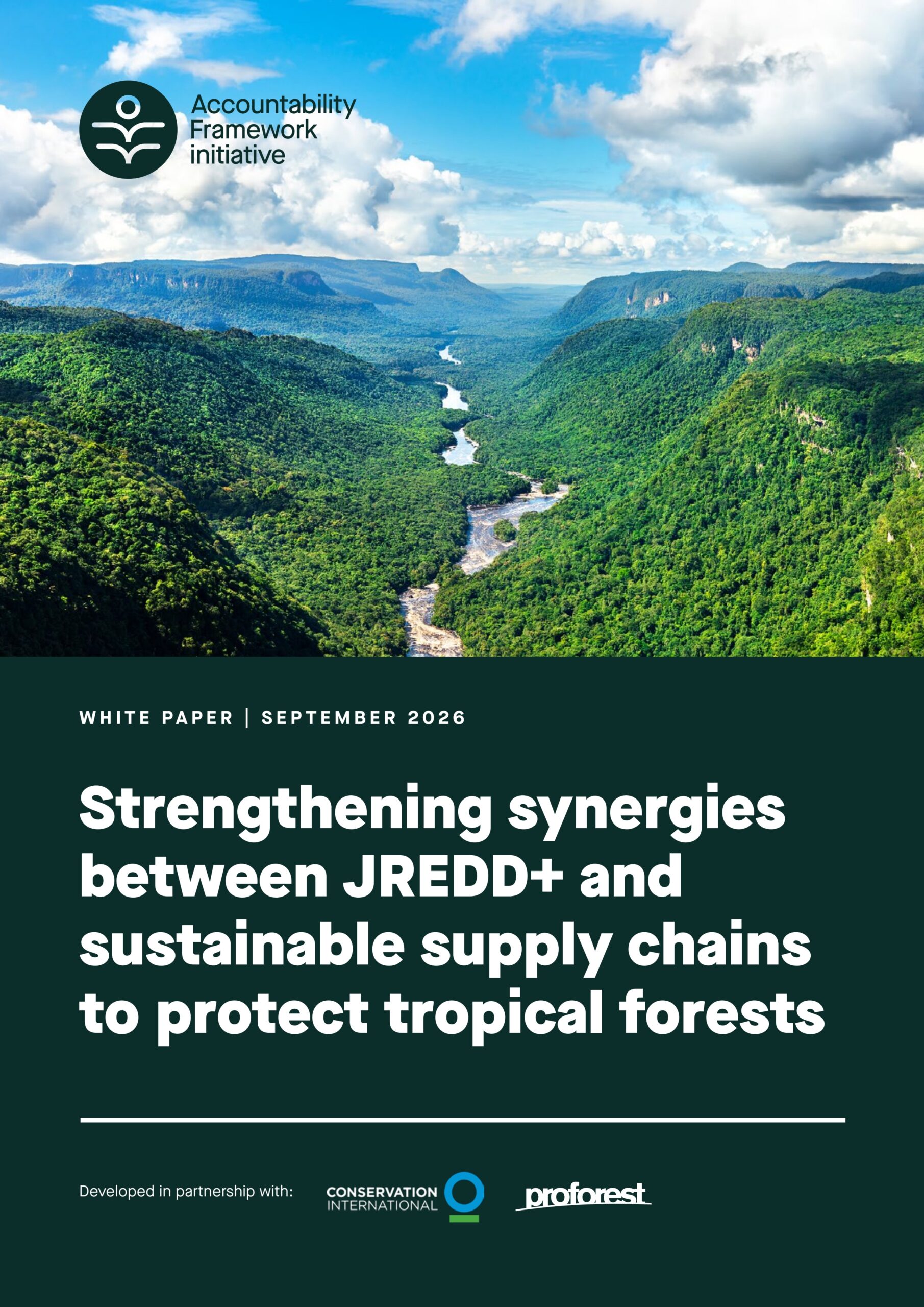 Strengthening synergies between JREDD+ and sustainable supply chains to protect tropical forests