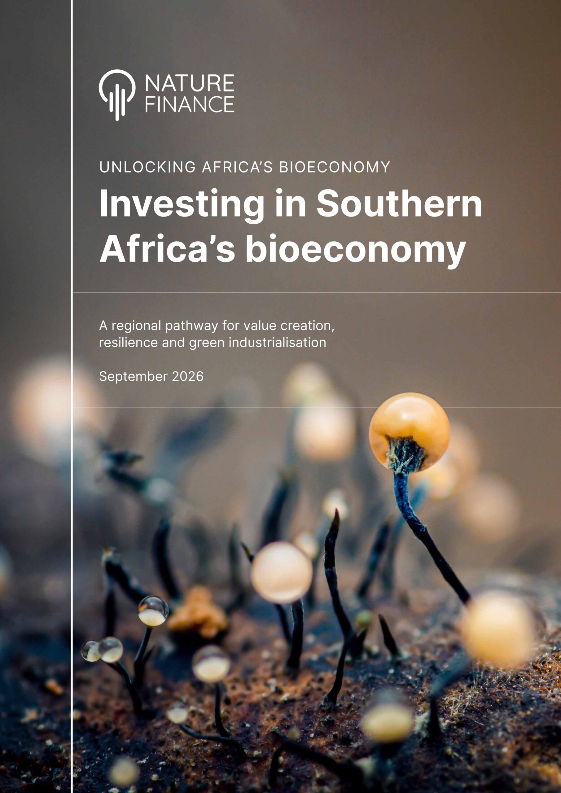 Investing in Southern Africa’s bioeconomy: A regional pathway for value creation, resilience and green industrialisation