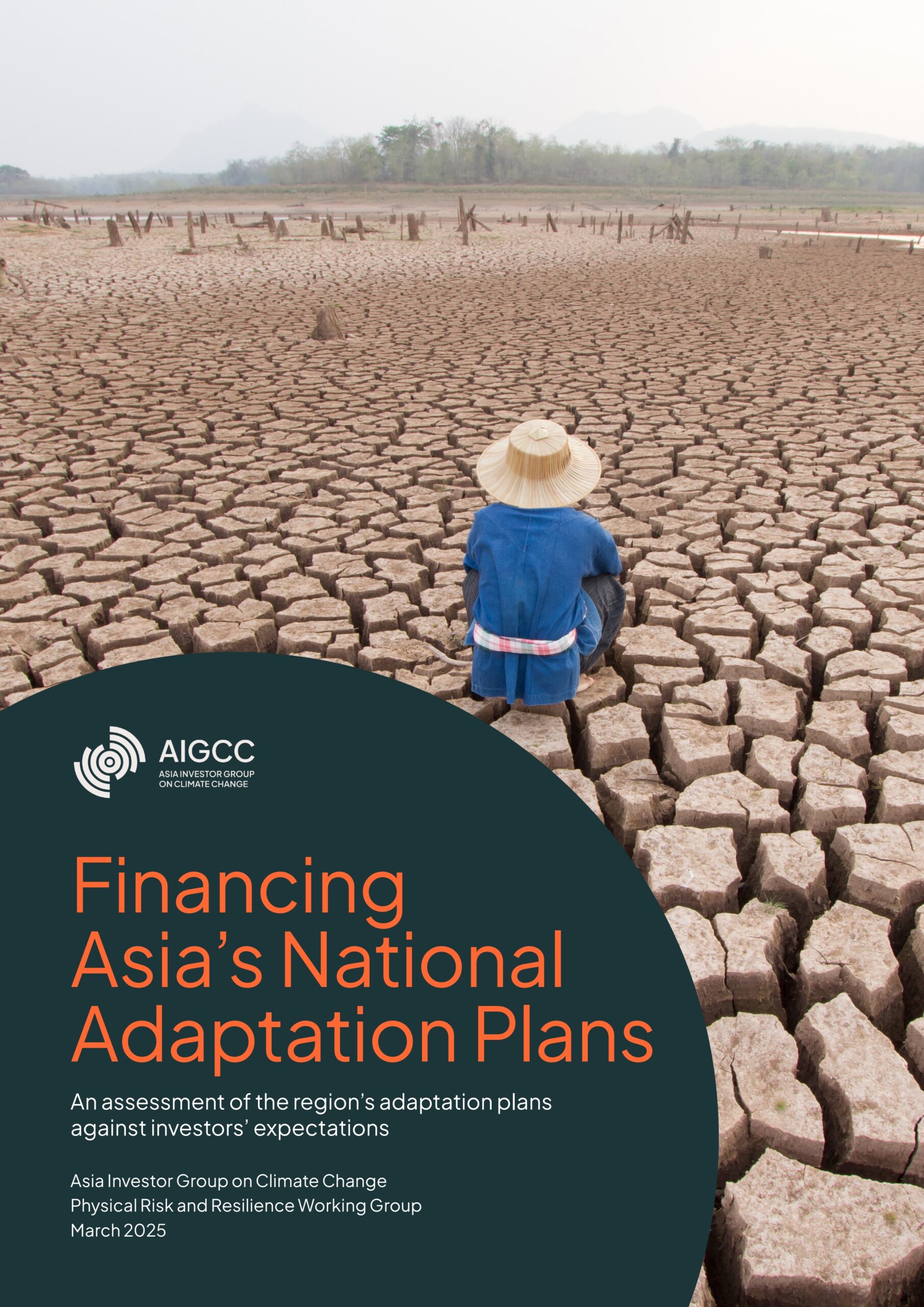 Financing Asia’s National Adaptation Plans: An assessment of the region’s adaptation plans against investors’ expectations