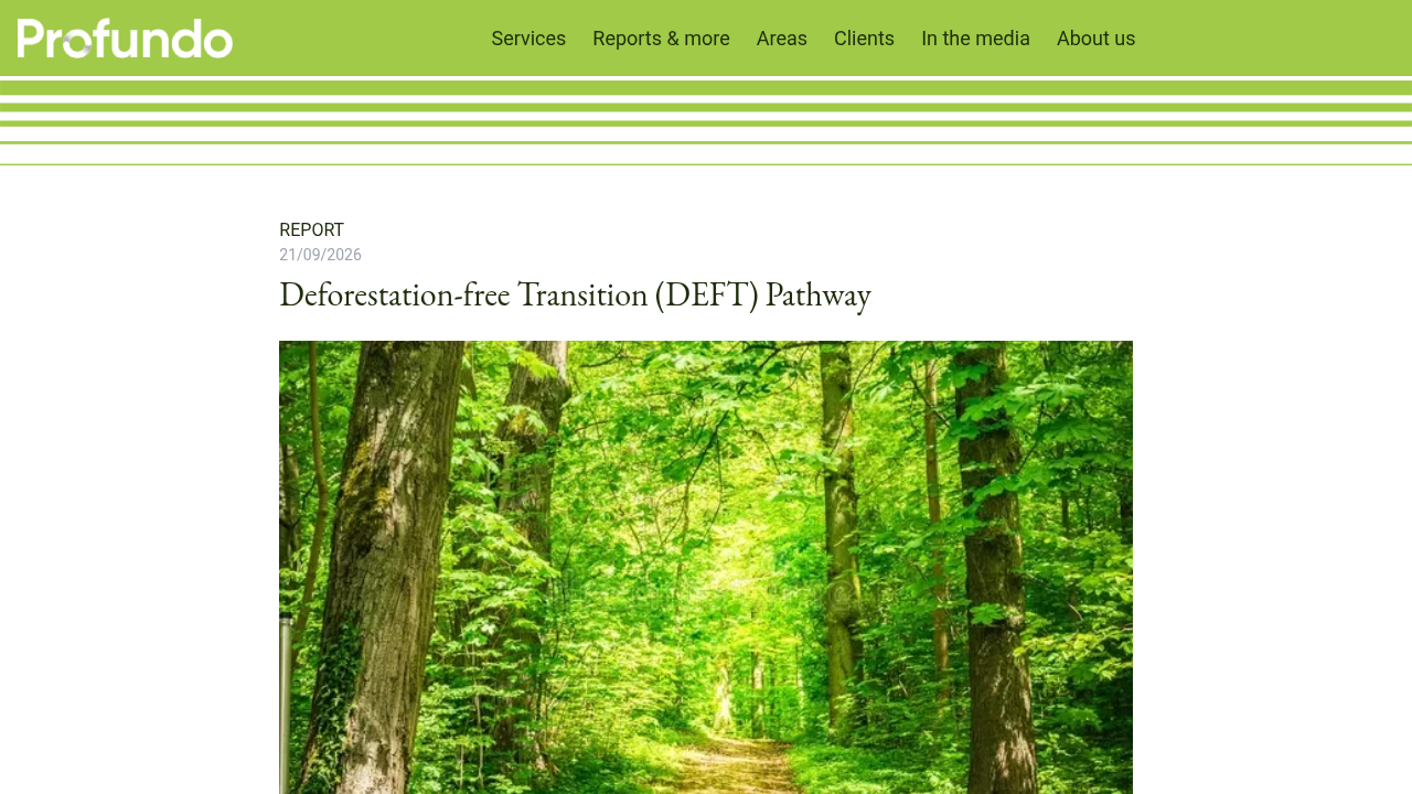 Deforestation-free Transition (DEFT) Pathway