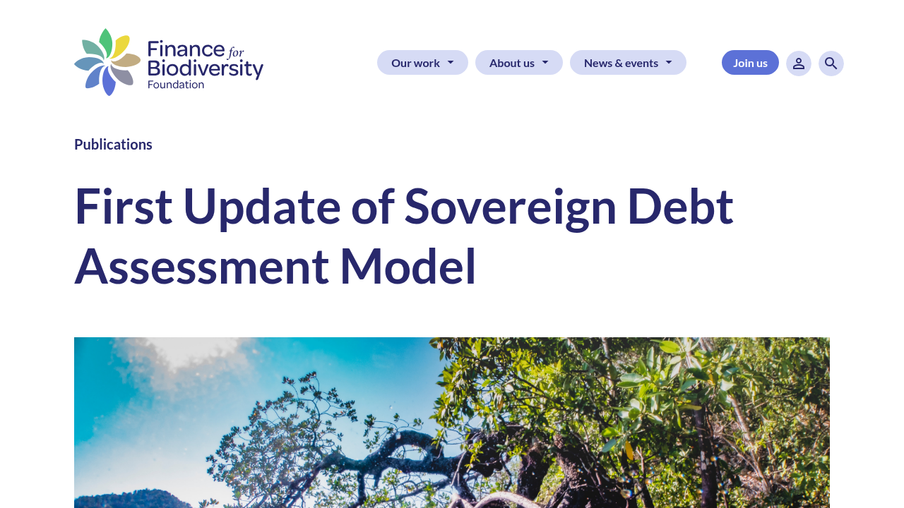 Sovereign Debt Assessment Model (First Update)